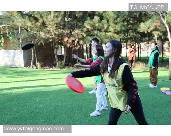 飞盘热潮下的上海飞盘队团队协作新模式探讨与实践